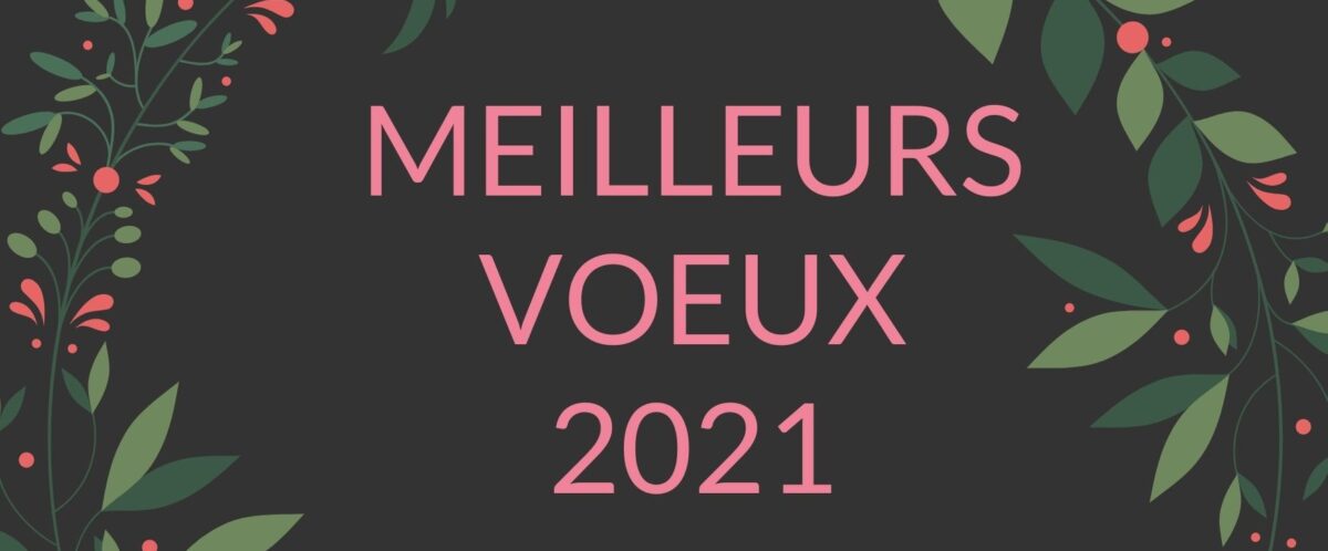 Image : Vœux 2021 - Treize-Septiers