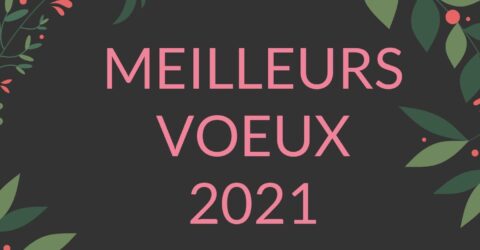 Image : Vœux 2021 - Treize-Septiers